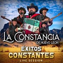 La Constancia de Nuevo Le n - Los Coconitos Live Session
