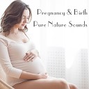 Pregnancy and Birthing Specialists Nature Sounds… - Woodland Paradise