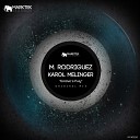 M Rodriguez Karol Melinger - Groove s Fury