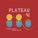 Plateau 91 - Transworld Sports