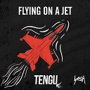 Tengu - Flying on a Jet