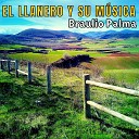 Braulio Palma - As Es Mi Destino