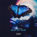 Stefre Roland - Never Say Never