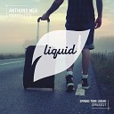 Anthony Mea - Traveller Original Mix