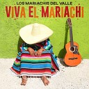 Los Mariachis Del Valle - Se Que No Volver