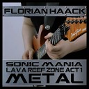 Florian Haack - Lava Reef Zone Act 1 From Sonic Mania Metal…