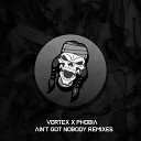 Vortex PH0BIA - Aint Got Nobody Silvermass Remix