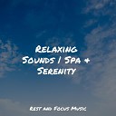 Serenity Spa Music Relaxation Saludo al Sol Sonido Relajante Preschool… - Creek Rain Medley
