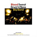 Blood Sweat Drum Bass feat J rgen Munkeby - The Phrygian Axe Death