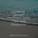 Exam Study Classical Music Baby Sleep Music… - Hebridean Mists