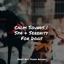 Jazz Music for Dogs Calm Doggy Pet Care Club - Soft Chords