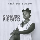 Canario Negro - CH DE BOLDO