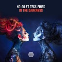 No So feat Tess Fries - In the Darkness Extended Mix