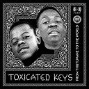 Toxicated Keys - Twist of Fate Soulful Play