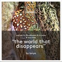 Lonya - The World That Disappears Finnebassen Remix