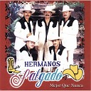 Los Hermanos Salgado - Andas Contando