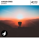 Aurelien Stireg - Divinity Radio Edit