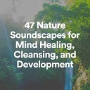 Organic Nature Sounds - Caption For Raining
