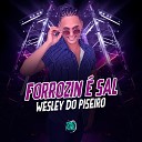 Wesley do Piseiro - Forrozin Sal