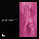 Jay Bird Alliey XO - Touch Extended Mix