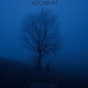 AstonDum - Foggy Day