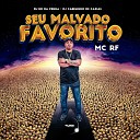 Mc Rf RD da Penha Dj Cabelinho de Caxias - Seu Malvado Favorito