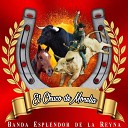 Banda Esplendor de la Reyna - El Chuco de Morelia