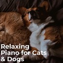 Relax Your Pet - Relaxing Piano Sounds