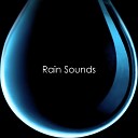 Nature sounds - Woodland Rain