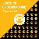 Voice Of Undergroundo - Love Won t Let You Down P D O Mix