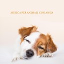 Calm Pets Music Academy - Tratta l ansia