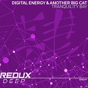 Digital Energy Another Big Cat - Tranquility Bay Extended Mix