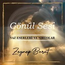 Zeynep Barut - K rdi Sirto