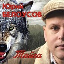 Юрий Белоусов - Сокол Это Душа