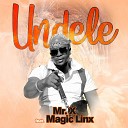 Mr X feat Magic Linx - Undele feat Magic Linx