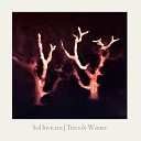 Sol Invictus - Somewhere in Europe Trees in Winter Version