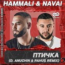 HammAli Navai - Птичка D Anuchin Pahus Radio Edit