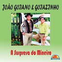 Jo o Goiano e Goiazinho - Pau Brasil