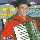 Toninho da Sanfona - Xamego Goiano