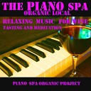 Piano Spa Organic Project - Soothing Sounds Relaxing Spa Piano Mix
