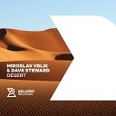 Miroslav Vrlik Dave Steward - Desert Extended Mix