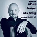Matteo Venturini - I Allegro risoluto