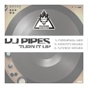 DJ Pipes - Turn It Up Sonek Remix