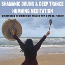 Shaman Drums - The Rhythm of Shaman