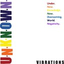 Aaron Unknown - U N K N O W N Vibrations