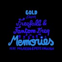 Freefall Fantom Freq - The Music