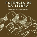 Potencia de la Sierra - Negocio Cuajado