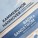 Kammerchor Hannover La Festa Musicale Stephan Doormann Johann Sebastian… - Chor Singet dem Herrn ein neues Lied