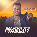 Sky Faze - Possibility