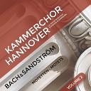 Kammerchor Hannover Stephan Doormann Sven David Sandstr… - Singet dem Herrn ein neues Lied